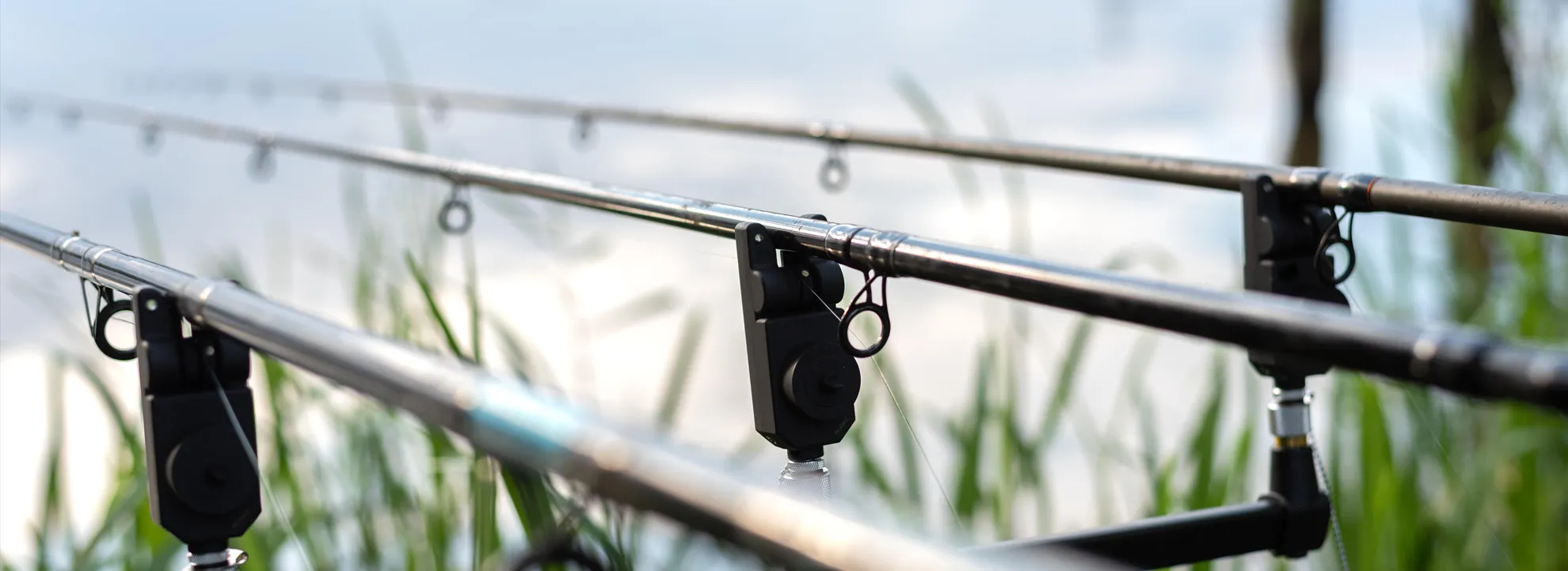 Mehr über den Artikel erfahren Raubfischangeln 15.11.2025