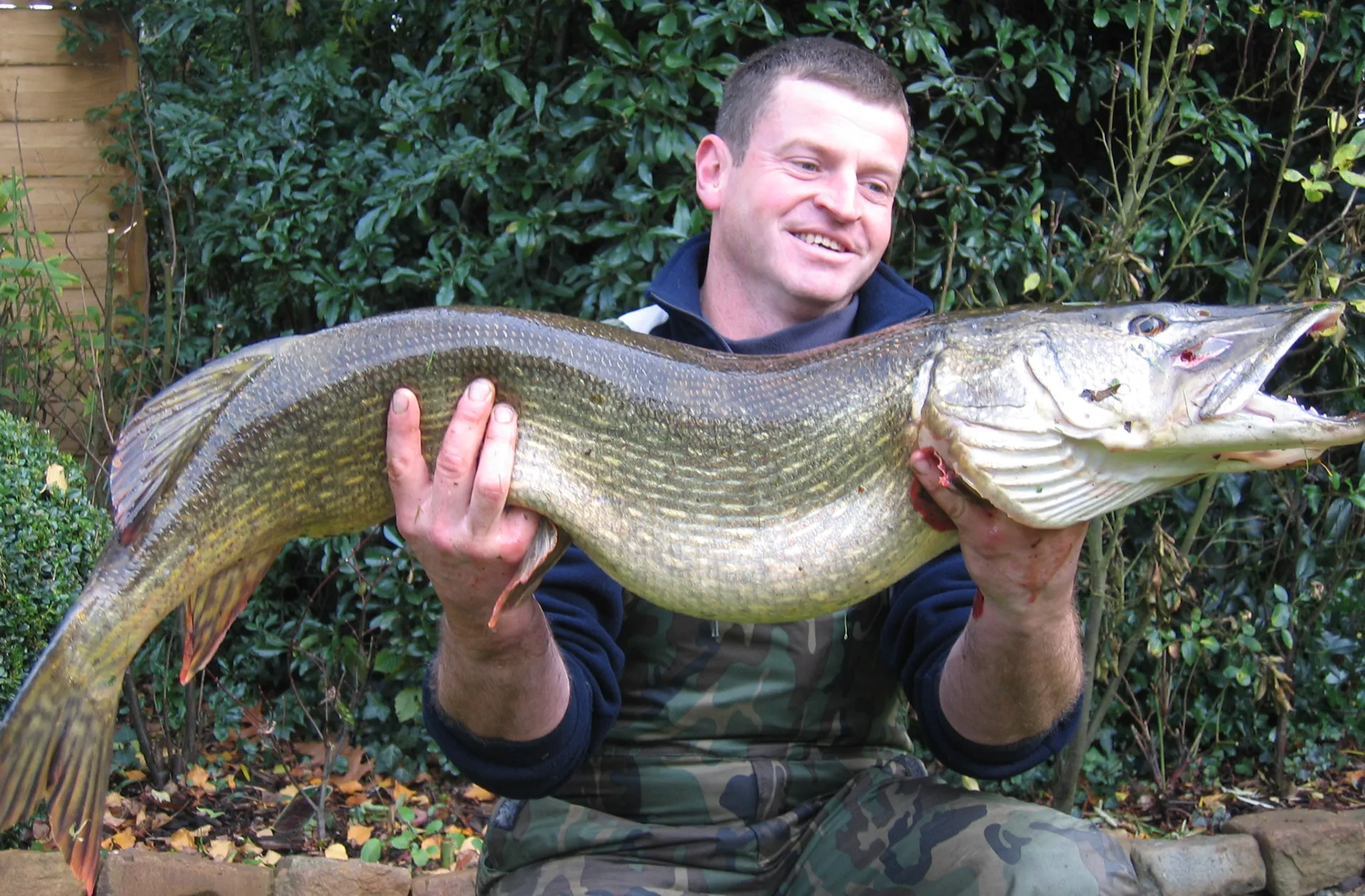 Mehr über den Artikel erfahren Hecht, gefangen am 21.12.2024